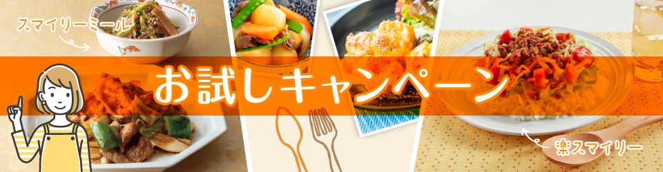 お試しキャンペーンお申し込みフォーム